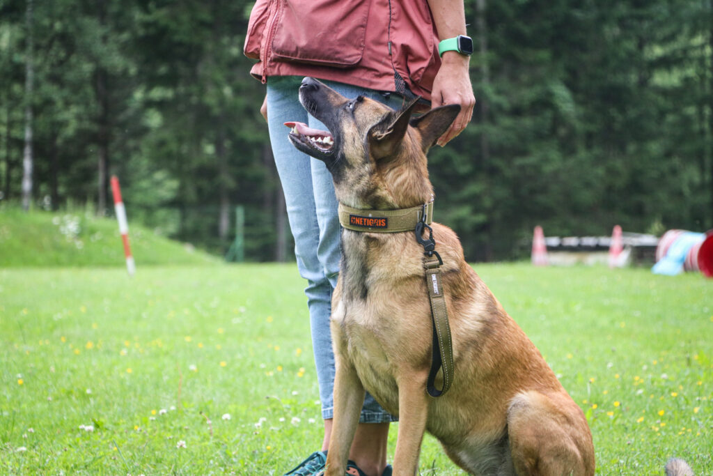 Hundeschule ÖRV Eisenerz Münichtal