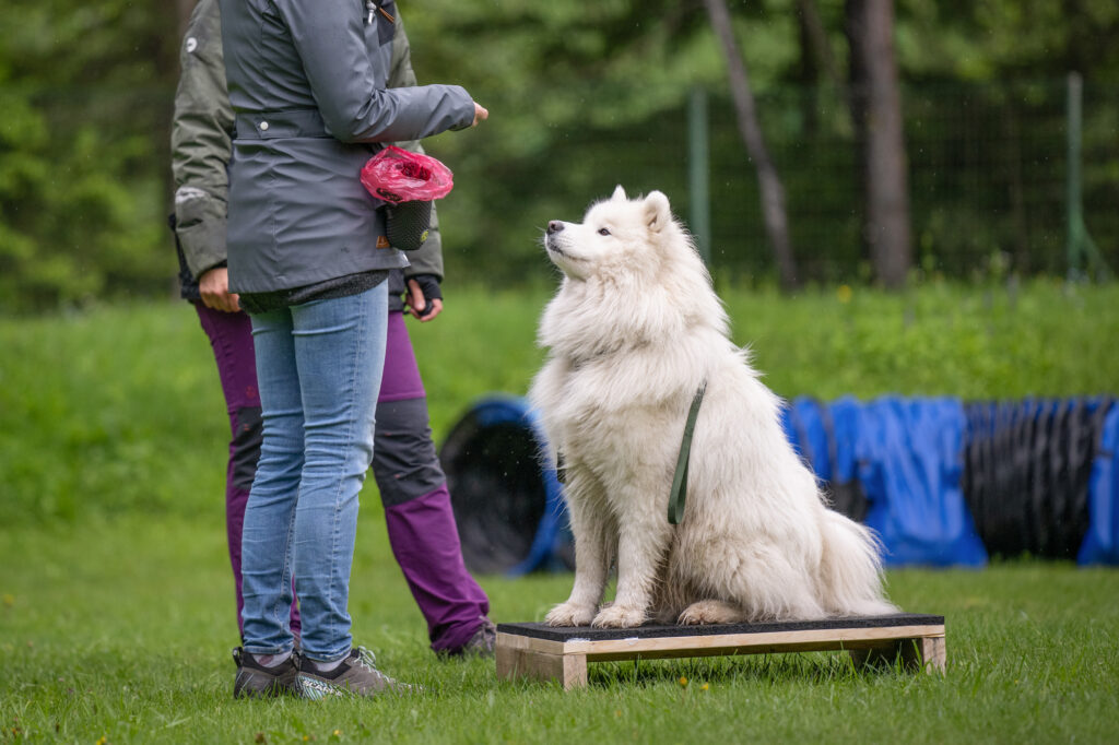 Fit and Fun Kurs beim ÖRV Eisenerz Münichtal